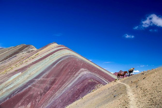 Cusco: Full Day Trekking the Rainbow Mountain With Lunch - Recap