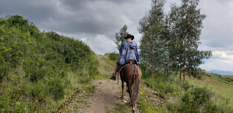 Cusco: Half-Day Horseback Riding at Devils Balcony - Key Points
