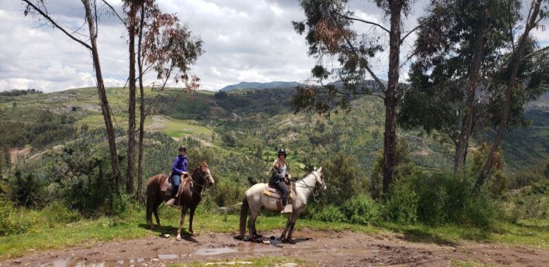Cusco: Half-Day Horseback Riding at Devils Balcony - Customer Ratings and Feedback