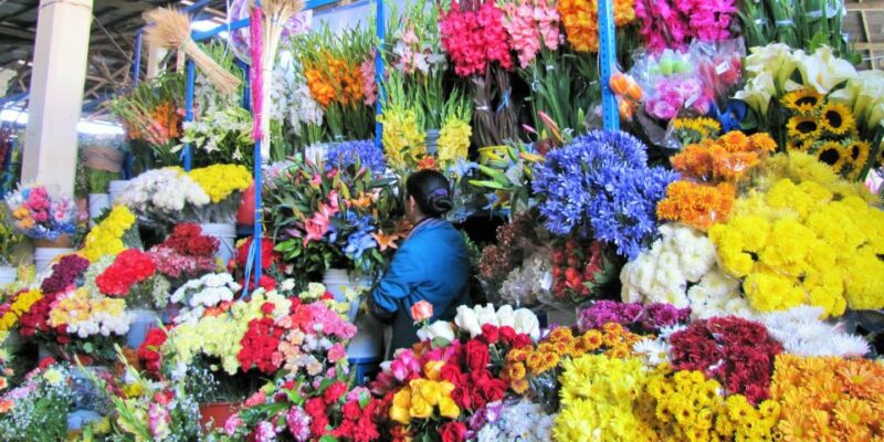 Cusco: Historical Walking Tour and Market Visit - Tour Overview and Details