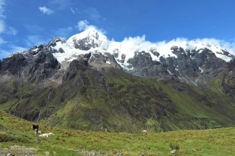 Cusco: Inca Jungle Adventure Zipline - Biking and Rafting 4D - Additional Costs