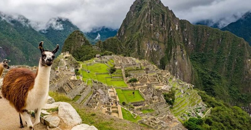 Cusco: Inca Trail 2 Days Trekking - Machu Picchu - Inclusions