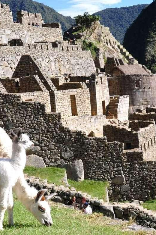 Cusco & Machu Picchu: 3 Day Tour Package - Guided Tour of Cusco