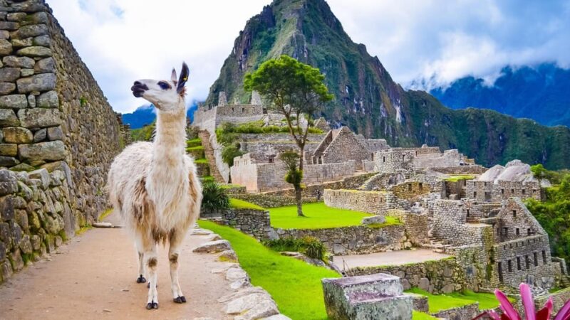 Cusco: Machu Picchu + Tourist Train and Machu Picchu Ticket - Key Points