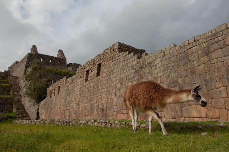 Cusco: Machu Picchu + Tourist Train and Machu Picchu Ticket - Included in the Tour