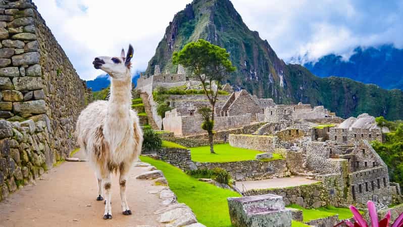 Cusco: Machu Picchu + Tourist Train and Machu Picchu Ticket - Booking Information