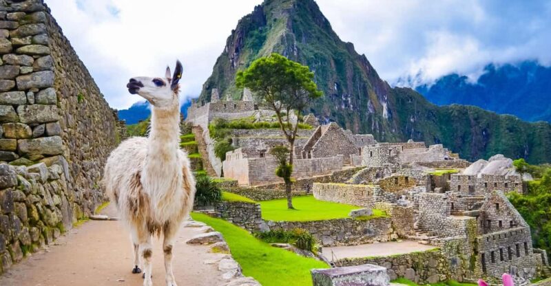 Cusco: Machu Picchu + Tourist Train and Machu Picchu Ticket - Itinerary Details