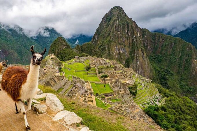 Cusco: Machu Picchu + Tourist Train and Machu Picchu Ticket - Return to Cusco