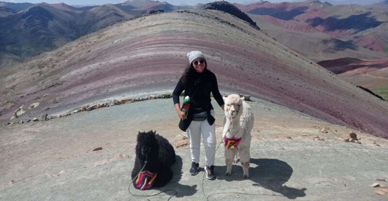 Cusco: Palccoyo Rainbow Mountain 1-Day Trekking Trip - Key Points