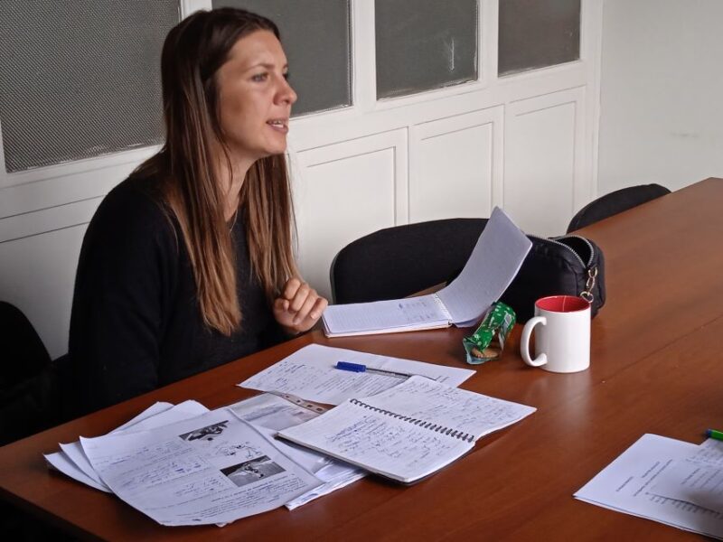 Cusco: Private Spanish Classes and Optional Homestay - Class Topics and Structure