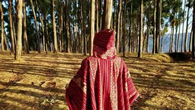 Cusco: Qenqo Eucalyptus Forest + Andean Picnic + Painting - Key Points