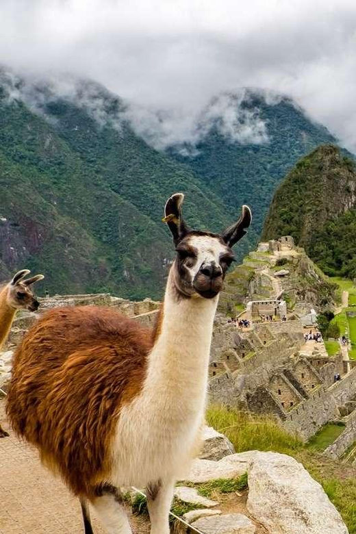 Cusco, Rainbow Mountain, and Machu Picchu 4-Day Tour - Key Points