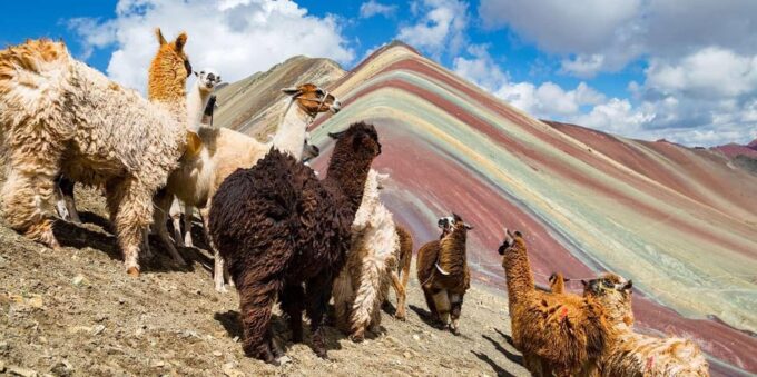Cusco, Rainbow Mountain, and Machu Picchu 4-Day Tour - Booking Information