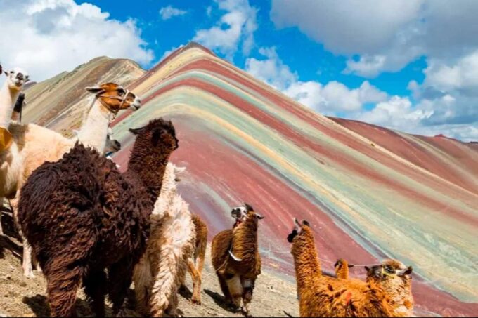 Cusco: Rainbow Mountain and Red Valley Trip With 2 Meals - What to Expect on the Hike