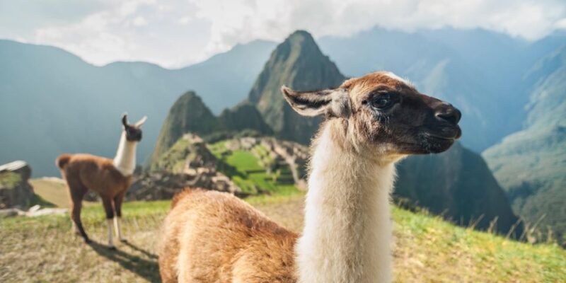 Cusco: Sacred Valley Connection With Machu Picchu 2 Days - Inclusions and Exclusions