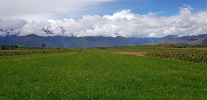 Cusco: Sacred Valley of the Incas Experience - Frequently Asked Questions