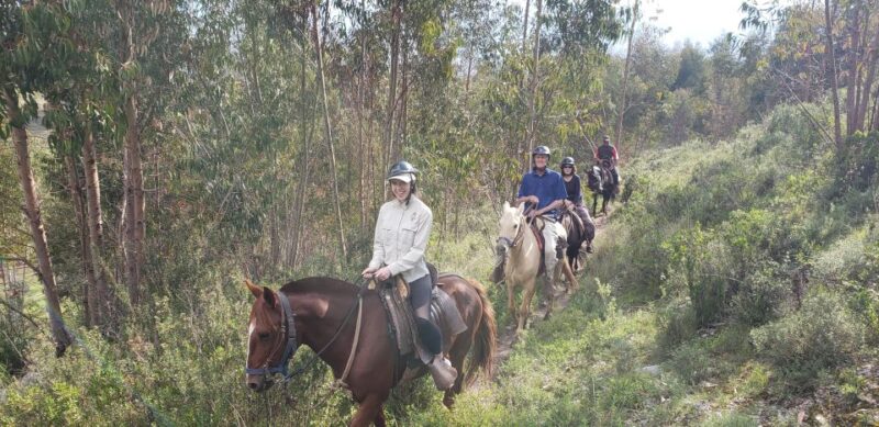 Cusco: Sacsayhuaman Guided Tour and 1-Hour Horseback Ride - Pricing and Inclusions
