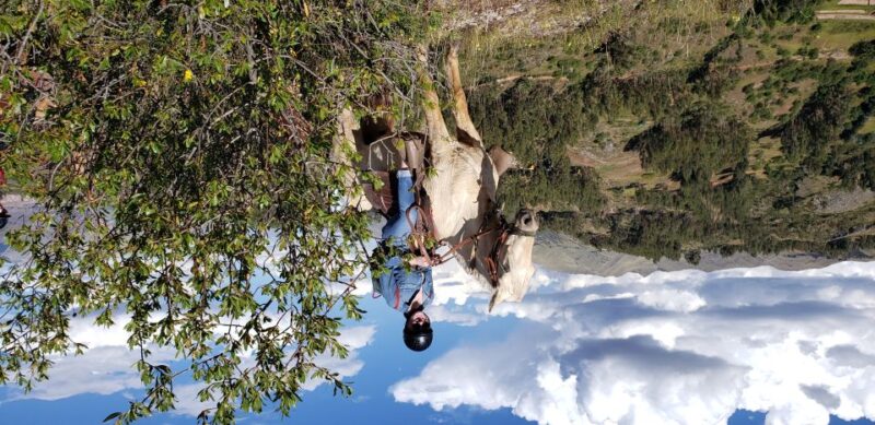 Cusco: Sacsayhuaman Guided Tour and 1-Hour Horseback Ride - Horseback Riding Experience