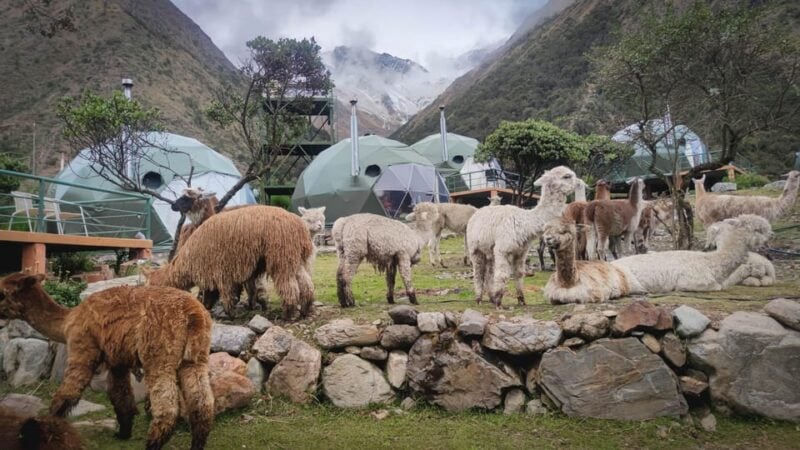 Cusco: Salkantay Dome to Dome 5-day Trek to Machu Picchu - What to Expect