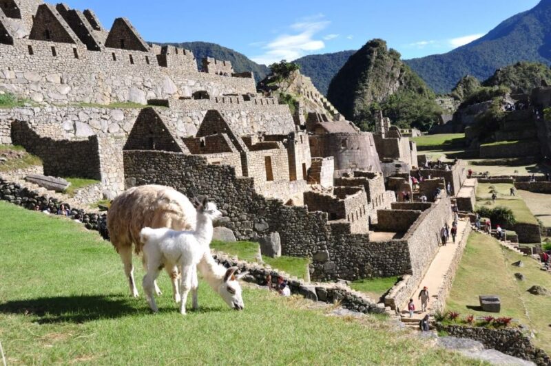 Cusco to Machu Picchu Day Trip - Transportation Included