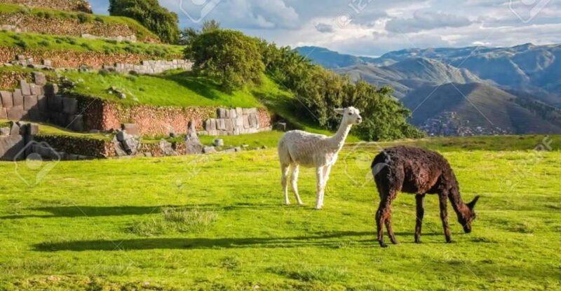 Cusco Tour 7 Days 6 Nights | Machu Picchu | Qeswachaka Bridge - Itinerary Highlights