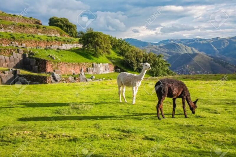 Cusco Tour 7 Days 6 Nights | Machu Picchu | Qeswachaka Bridge - Inclusions