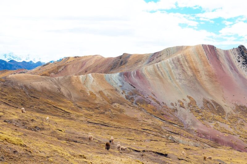 Cusco: Trekking Palcoyo Mountain - Inclusions and Safety