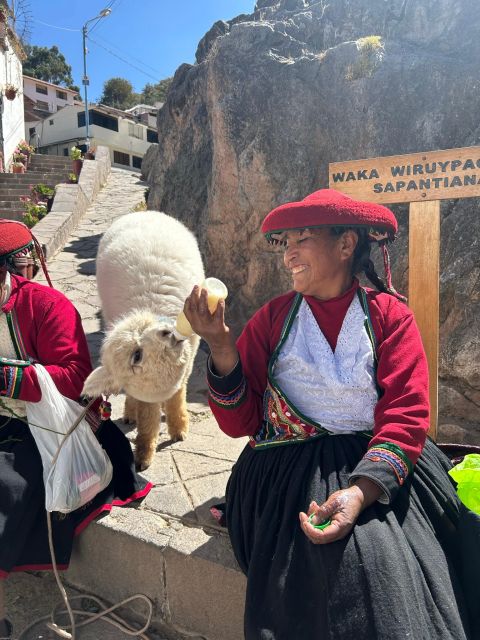 Cuscos Street and San Pedro Market Walking Adventure - Accessibility and Restrictions