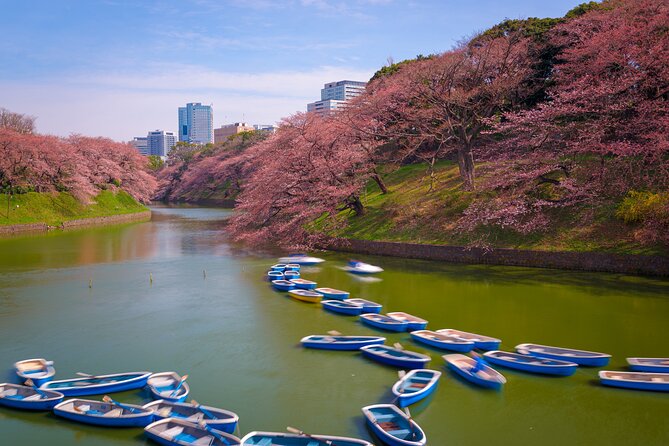 Custom 2-Day Tour: Mt Fuji and Tokyo Private Car & English Driver - Meeting and Pickup Arrangements