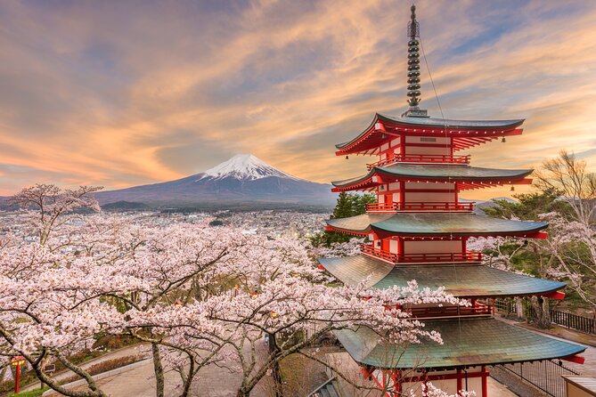 Custom 2-Day Tour: Mt Fuji and Tokyo Private Car & English Driver - Customer Reviews