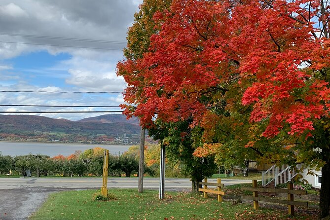 Custom 4 Hour Tour With a Private Driver in Quebec - Highlights of the Tour