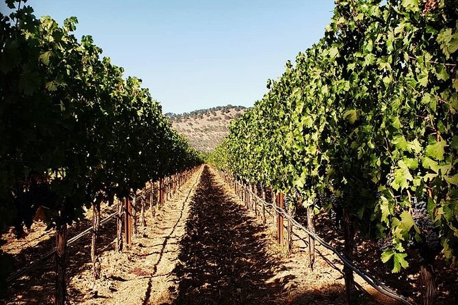 Custom 6-Hour Napa Valley Wine Tour in a Luxury Vehicle - Key Points