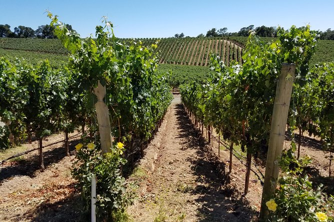 Custom 8-Hour Napa Valley Wine Tour in a Luxury Vehicle - Exploring Napa Valleys Wineries