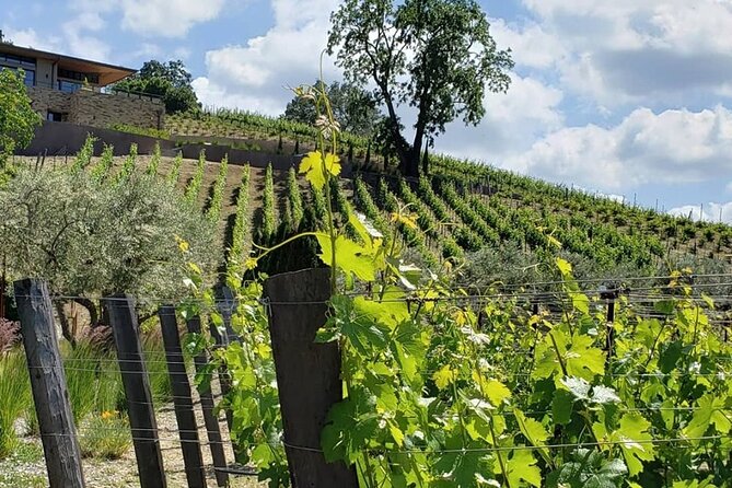 Custom 8-Hour Napa Valley Wine Tour in a Luxury Vehicle - Personalized Itinerary Planning