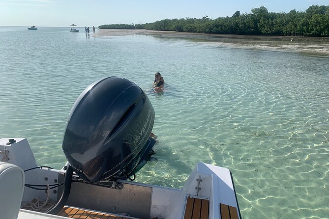Custom Charters With a Local Captain - Tour Highlights and Activities