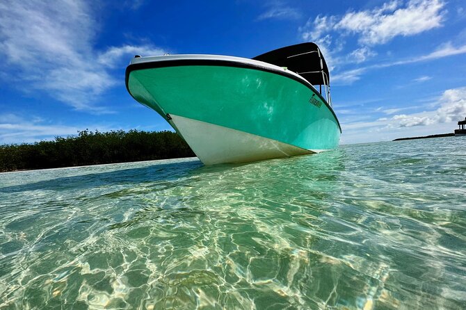 Custom Charters With a Local Captain - Positive Customer Reviews