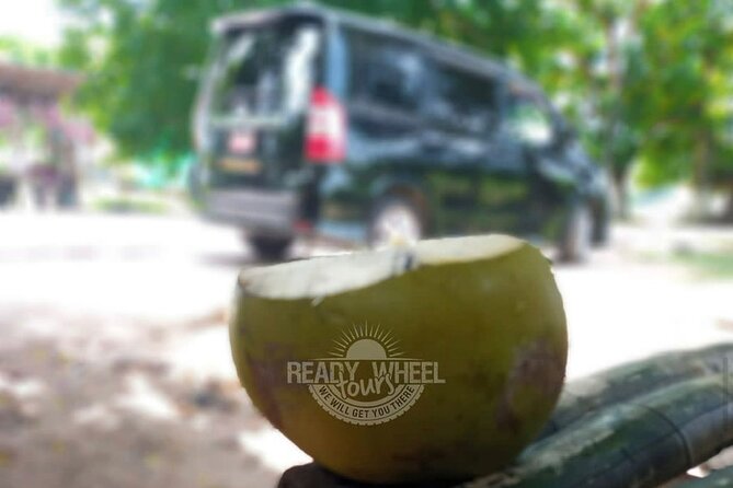 Custom COMBO to Mystic Mountain, Dunns River Falls & Blue Hole - Transportation and Accessibility