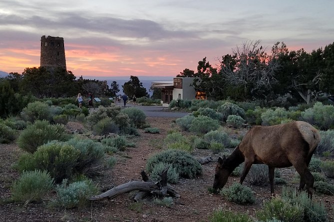 Custom Grand Canyon Day Trip - Pickup and Drop-off Information