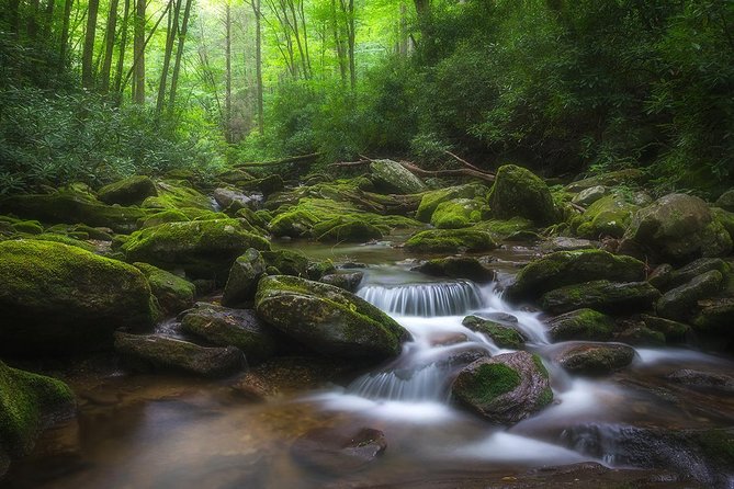 Custom Half-Day Photo Tour With Photography Lessons From Asheville - Inclusions and Exclusions