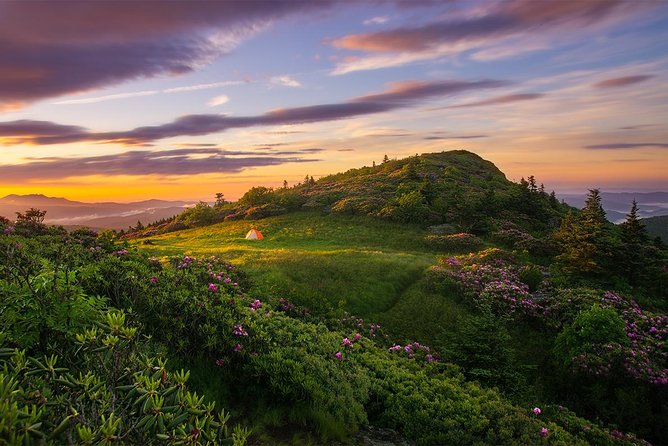 Custom Half-Day Photo Tour With Photography Lessons From Asheville - Booking and Logistics