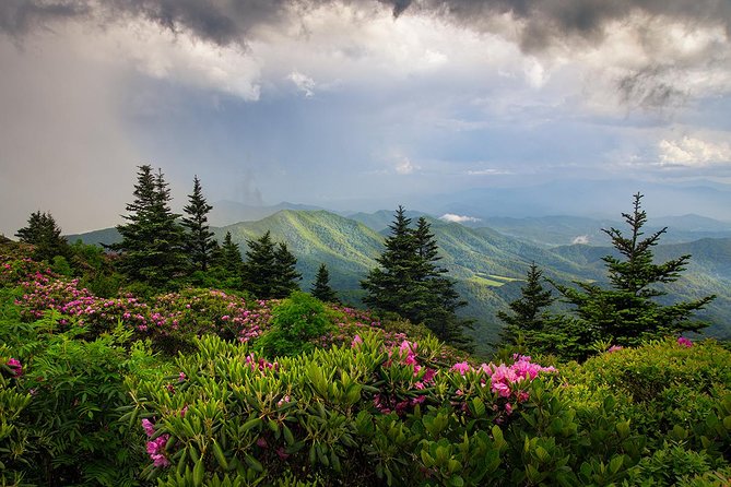 Custom Half-Day Photo Tour With Photography Lessons From Asheville - Customer Reviews