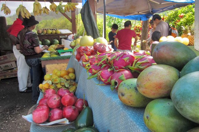 Custom Island Tour - for 4 to 5 People - up to 8 Hours - Private Tour of Oahu - Transportation