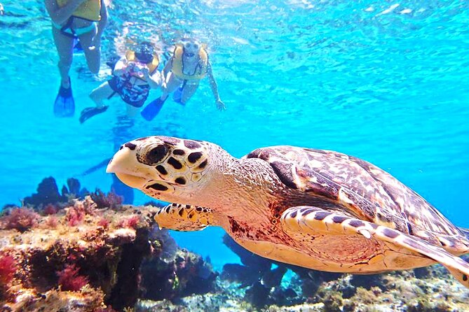 Custom Private Cozumel Jeep Tour: All-Inclusive Tour - Pickup and Accessibility