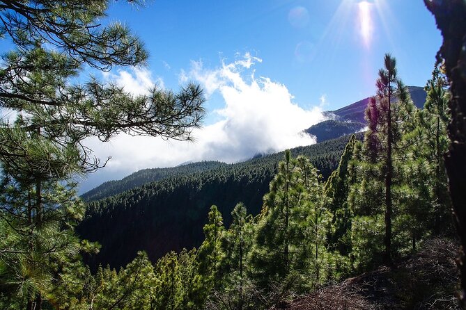 Custom Private Full-Day Tour Into the Heart of Tenerife - Tour Details
