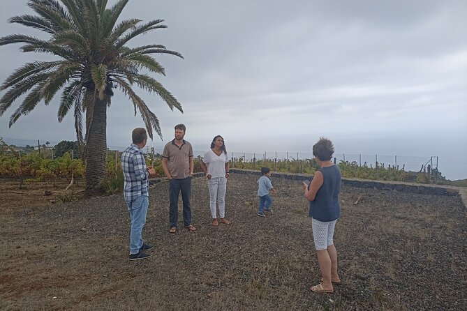 Custom Private Tenerife Full Island Car Tour - Designing Your Tour