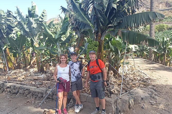 Custom Private Tenerife Full Island Car Tour - Exploring Scenic Locations