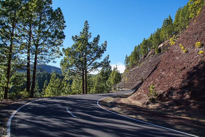 Custom Private Tenerife Full Island Car Tour - Personalised Experience