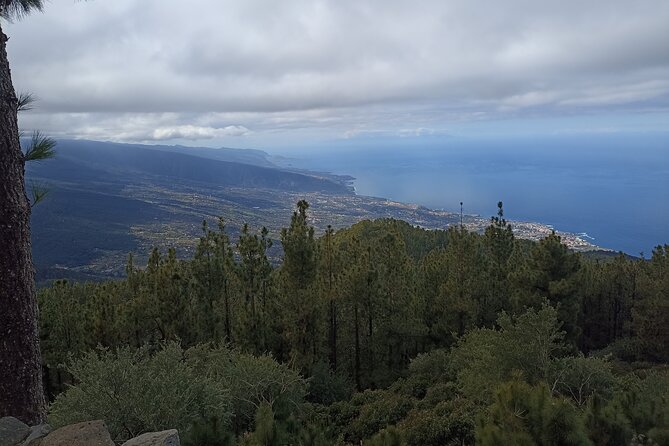 Custom Private Tenerife Volcano Car Tour - Inclusions and Pickup