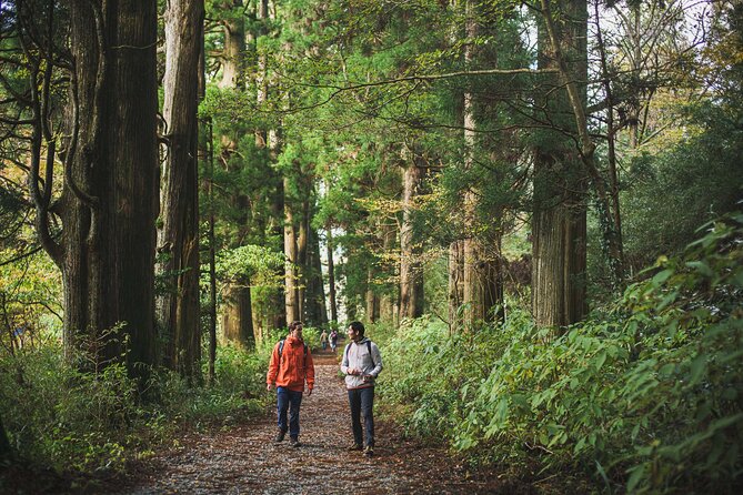 Custom Private Tour in Hakone With a Certified Local Guide - Highlights of the Private Tour