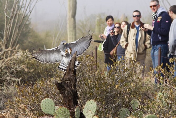 Custom Private Tucson Day Tour From Phoenix - Tour Overview